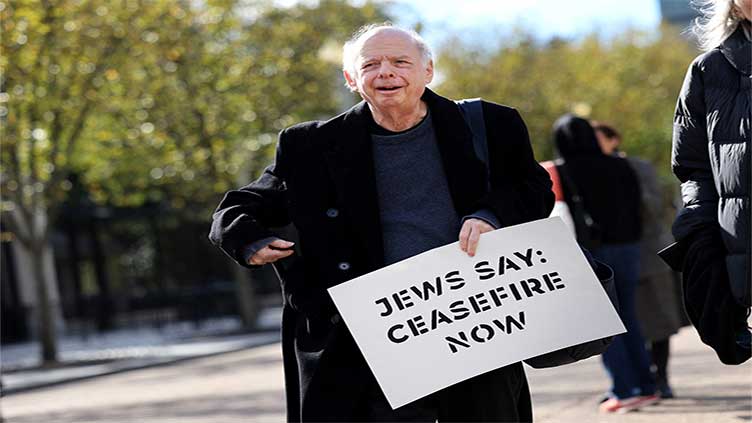 Wallace Shawn, Cynthia Nixon lead actors backing genocide charges against Israel