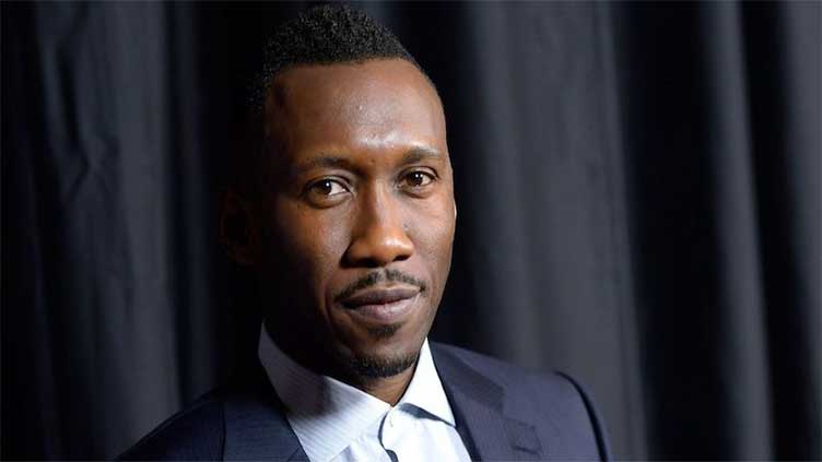 Hollywood actor Mahershala Ali is raising money for a Palestinian poet's family