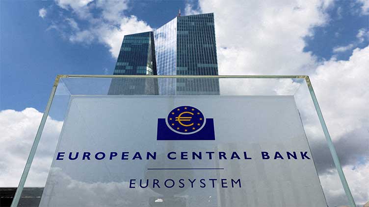 Europe must not weaponise euro, ECB policymaker warns