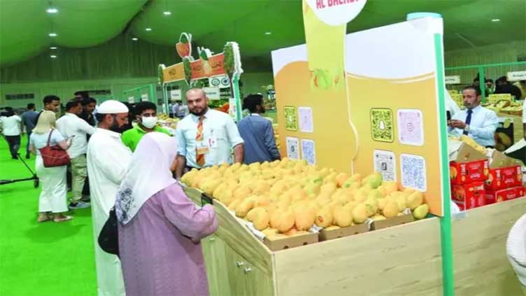 Pak exporters exhibit mangoes at Doha festival