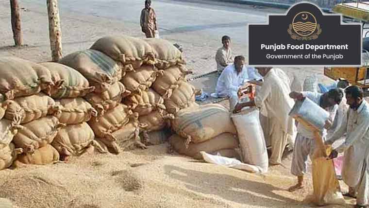 گندم کی قیمت میں 100 روپے فی من تک کمی ہوگئی: محکمہ خوراک پنجاب