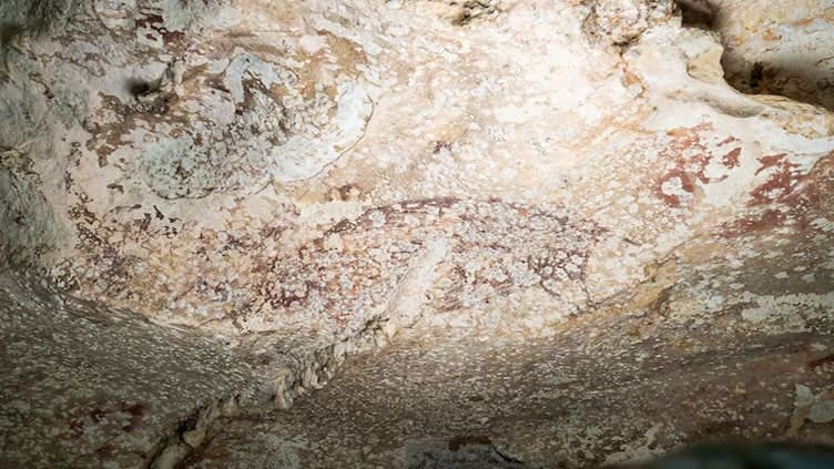 World's oldest cave painting in Indonesia shows a pig and people
