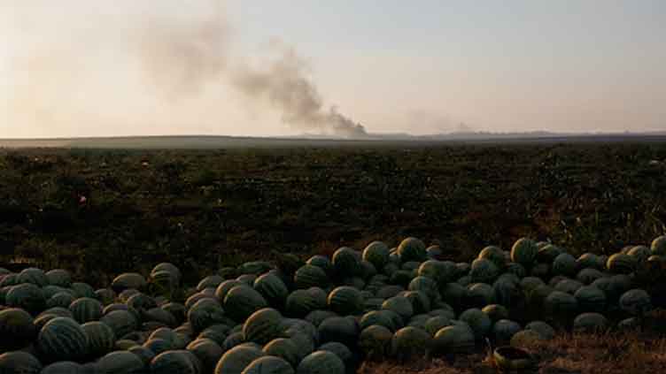 At least 17 Palestinians killed in Israeli strikes on Gaza overnight, officials say