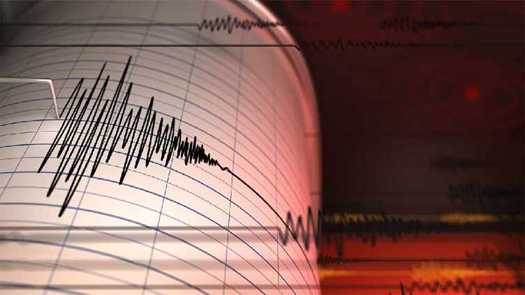 Magnitude 7.3 quake hits Chile's north, no immediate damage