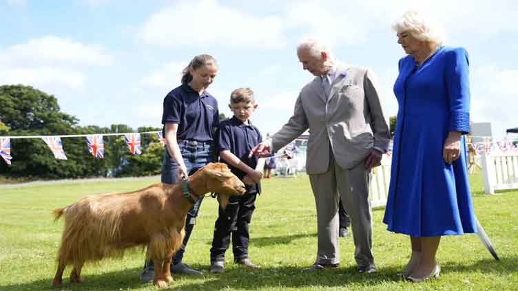 King Charles III bestows royal title on rare golden goat breed