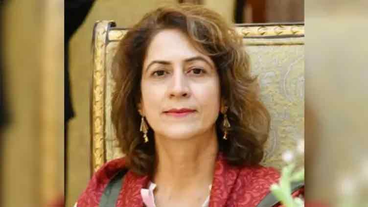 Ambreen Jan appointed federal secretary information