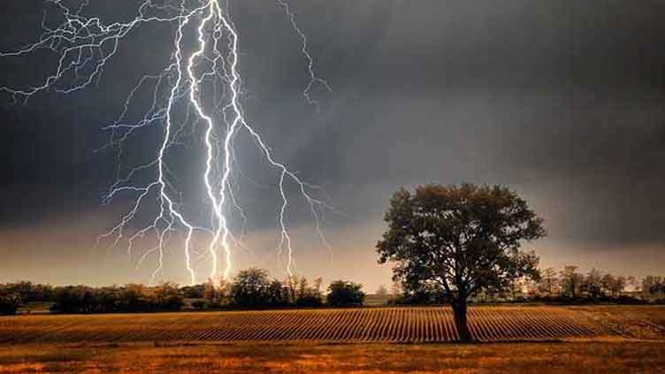 Lightning kills eight in Sindh