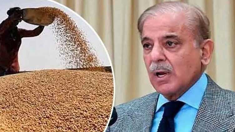 PM Shehbaz takes notice of wheat scam in Passco