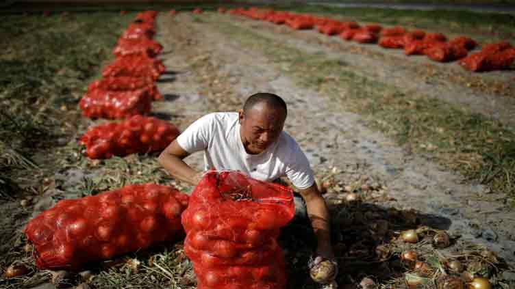 China food security law comes into force, targets absolute self-sufficiency