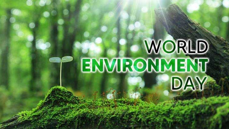 World Environment Day being marked today