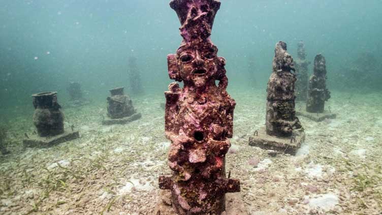 Colombian underwater 'art gallery' serves as coral home