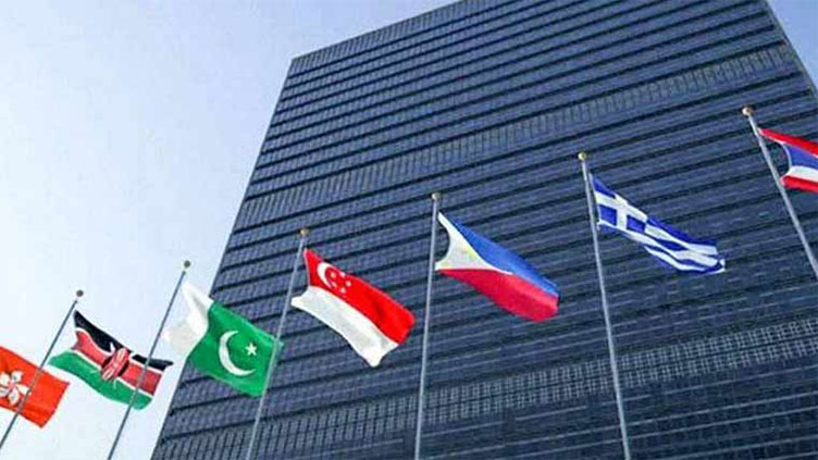 Pakistan wins non-permanent seat on UN Security Council