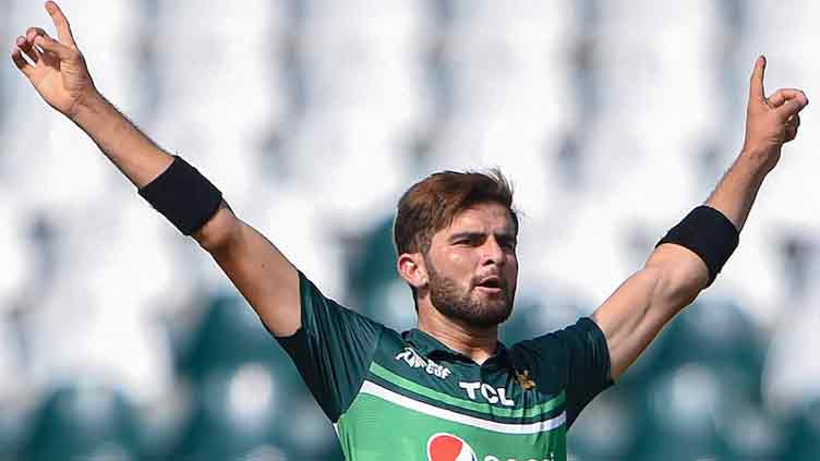 Shaheen Afridi nominated for ICC Men's Player of the Month award