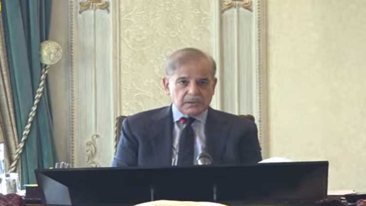 High-powered Chinese delegation to visit Pakistan soon: PM Shehbaz