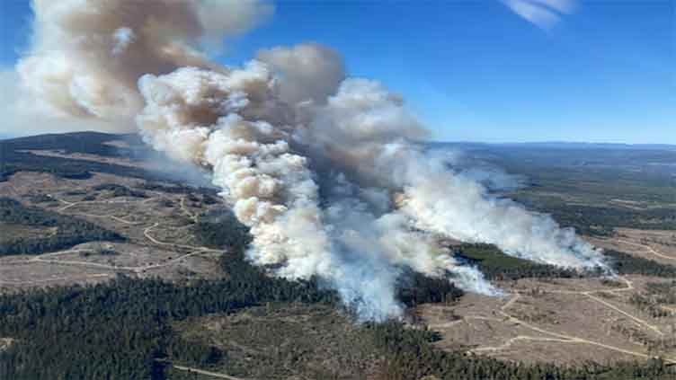 Canada forecasts hotter-than-average summer as peak wildfire season nears