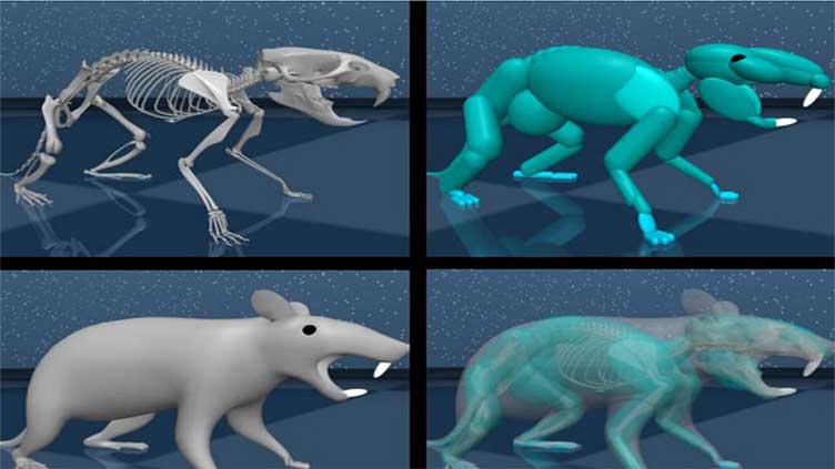 Virtual rat with artificial brain unveiled