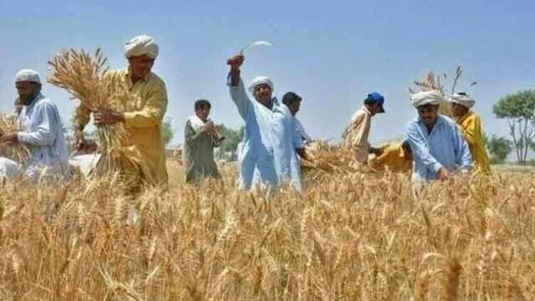 Punjab announces 'Kisan Dost Package' of Rs64.60bn in budget 2024-25