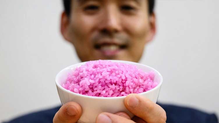 'Meaty rice'? South Korean professor aims to change global protein