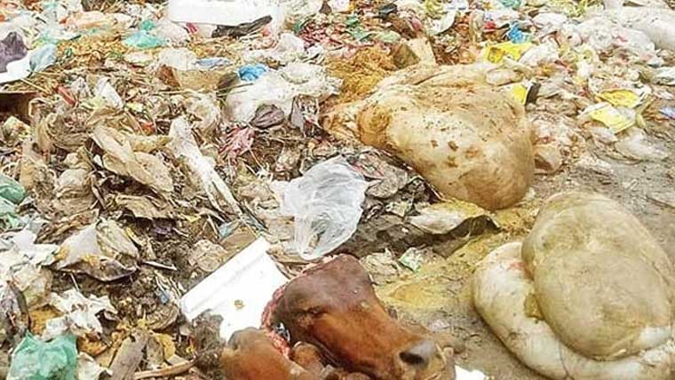 شہری سڑک کنارے آلائشیں پھینکنے کے بجائے کوڑا دان میں ڈالیں: کمشنر لاہور