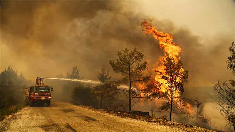 Agricultural fire that killed 12 in southeast Turkey under control, media says