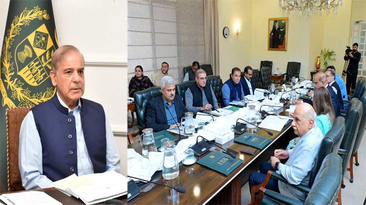 Protection of every citizen, foreigners top priority of state: PM Shehbaz