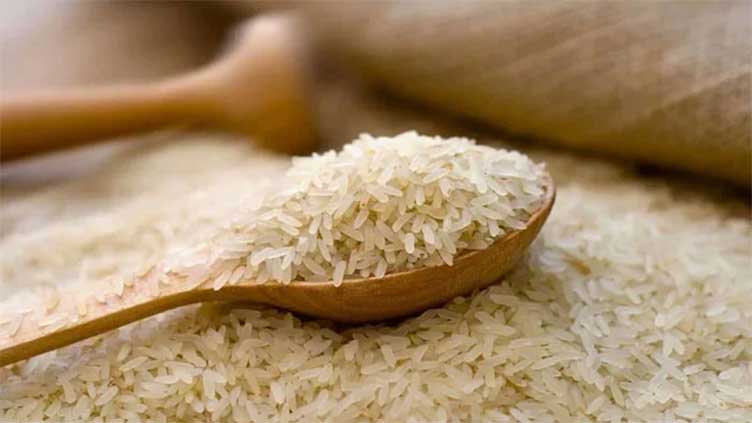 Downward trend in prices of rice witnessed