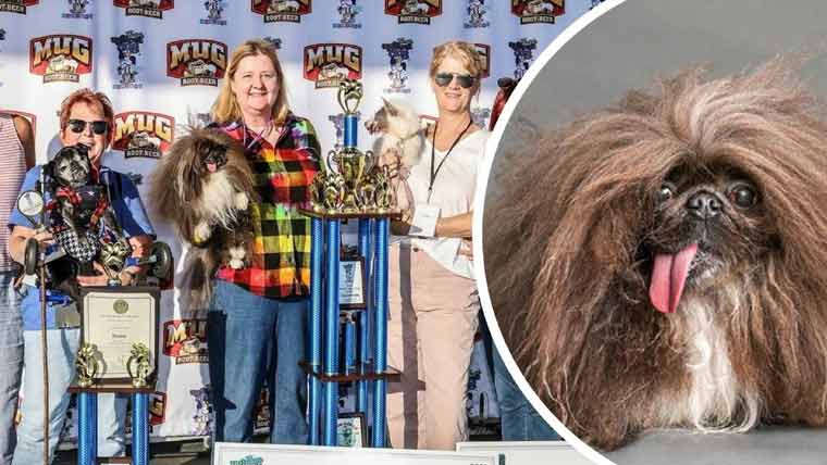 ’وائلڈ تھانگ‘ نے دنیا کے بدصورت ترین کتے ہونے کا اعزاز حاصل کرلیا