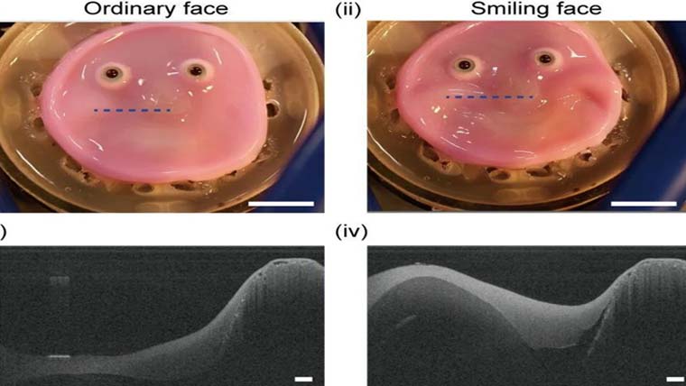 سائنسدانوں نے انسانی جلدی خلیات لے کر ربورٹس کے چہرے بنا لیے