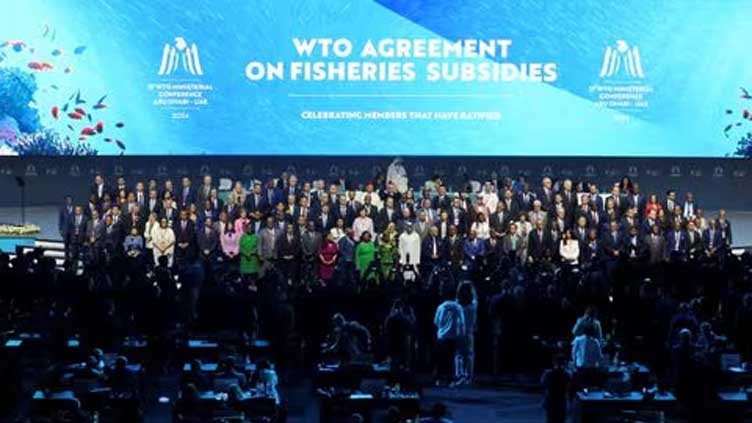 What's the state of play in WTO negotiations in Abu Dhabi?