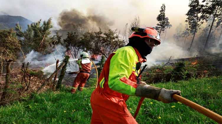 Spain braces for wildfires as beef farmers battle red tape