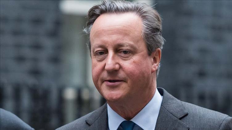 Cameron opposes sending troops to Ukraine, even for training