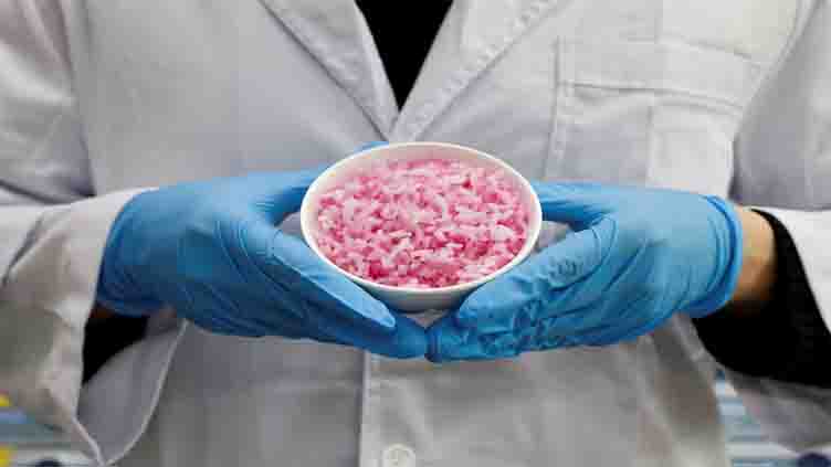 South Korea scientists tout 'beef rice' as source of protein for the future