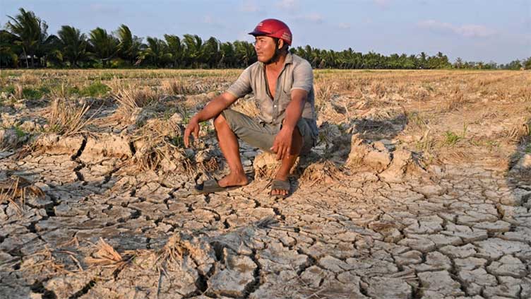 Vietnam farmers struggle for fresh water as drought brings salinisation