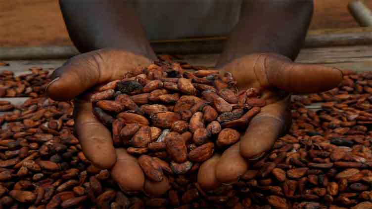 Cocoa rally and market tumult hoist systematic hedge funds