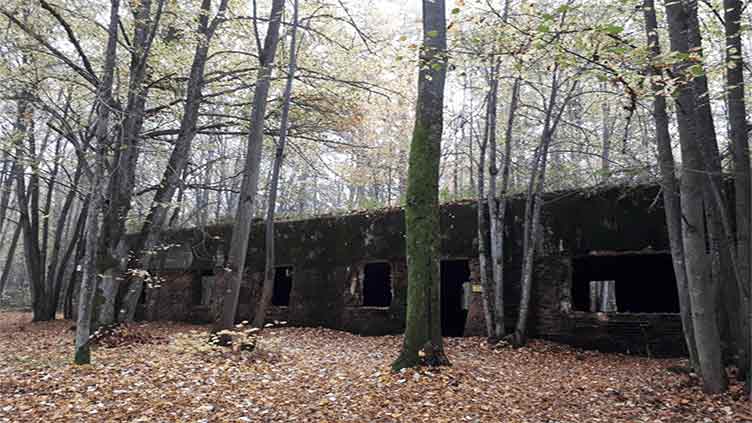 Skeletons missing hands and feet found in Hitler's Wolf's Lair