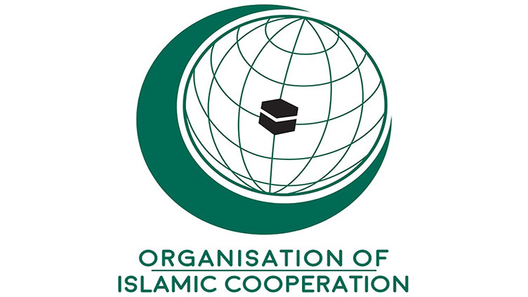 OIC calls for immediate ceasefire in Gaza, urges UN to implement resolutions on Jammu and Kashmir