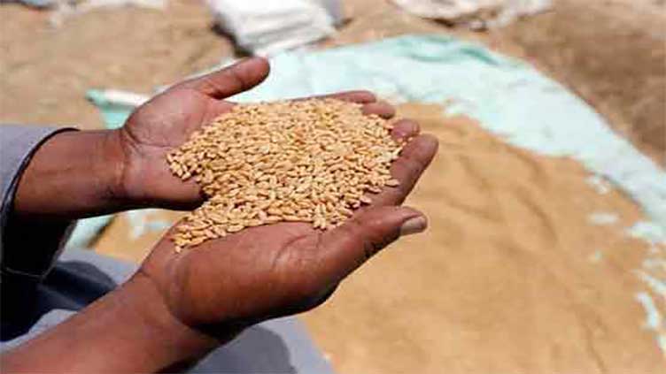 Wheat import scandal: Inquiry committee set to present report to PM today