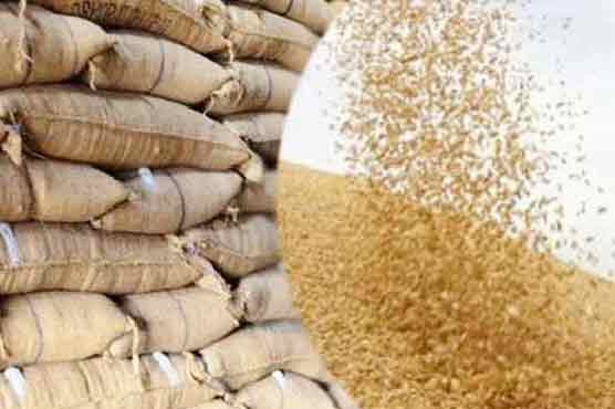 گندم درآمد معاملہ کل نیب یا ایف آئی اے کو بھجوانے کا امکان