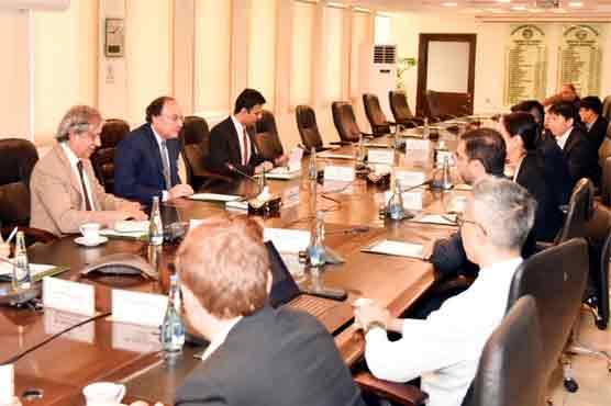 وزیر خزانہ سے غیرملکی وفد کی ملاقات، مختلف شعبوں میں سرمایہ کاری پر زور