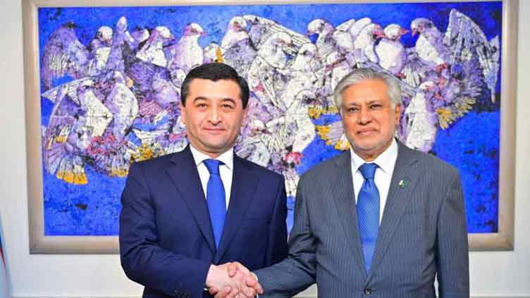 Pakistan desires to strengthen economic ties with Uzbekistan: Dar