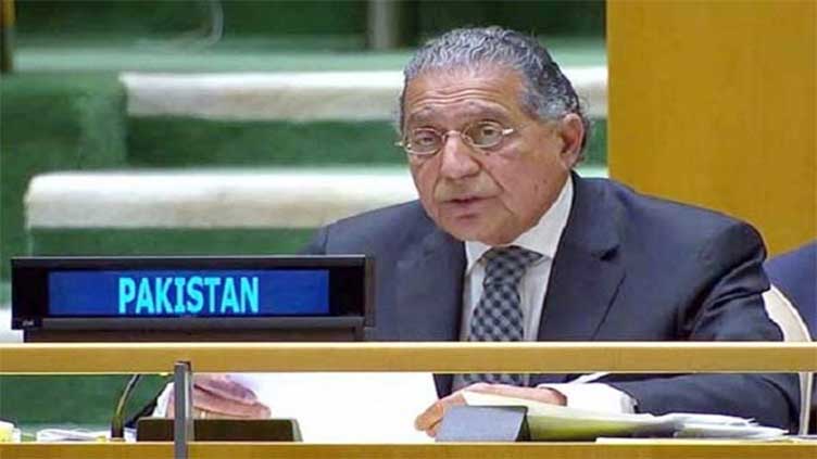 Pakistan laments UNSC inability to implement resolutions on Palestine