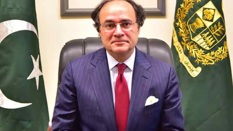 FinMin expresses Pakistan's commitment to promote green investment