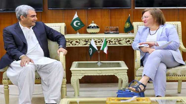 Interior minister Naqvi discusses human trafficking with Italian envoy