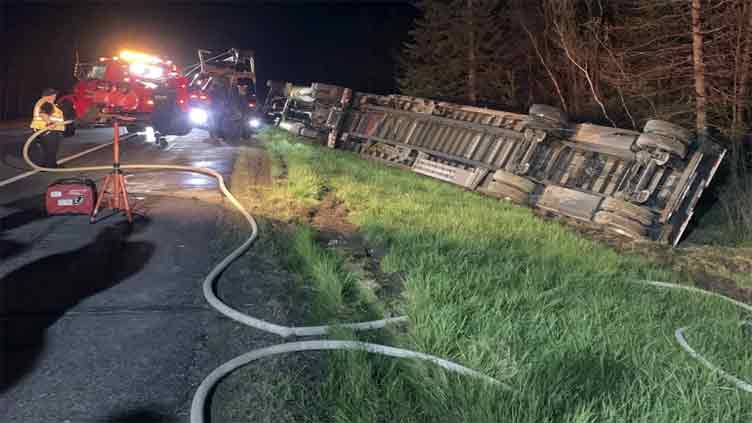 Most of 15m bees contained after truck crash
