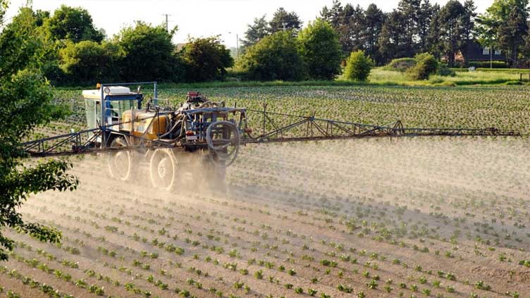 Experts weed out flaws in France's revamped plan to cut pesticides
