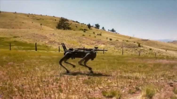 Robot dog with AI-targeting rifle attached may be used in future war