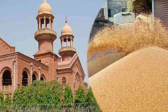 گندم کی نئی قیمت کے تعین کا معاملہ: سرکاری وکیل کو جواب جمع کرانے کی مہلت