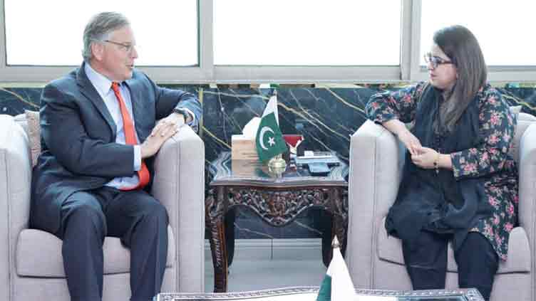 Pakistan, US agree to boost cooperation in IT, telecom sector
