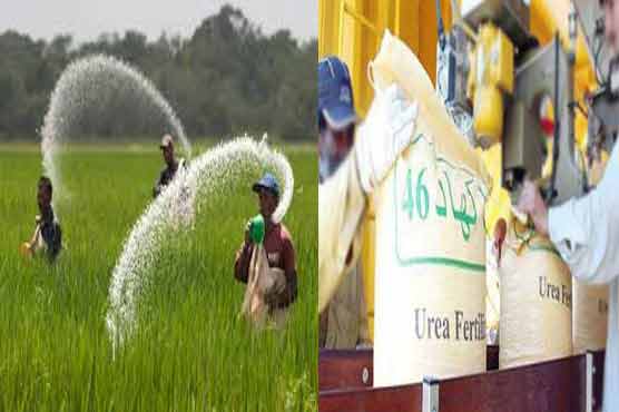 کسانوں کیلئے خوشخبری، کھاد کمپنیاں قیمتوں میں کمی پر رضا مند