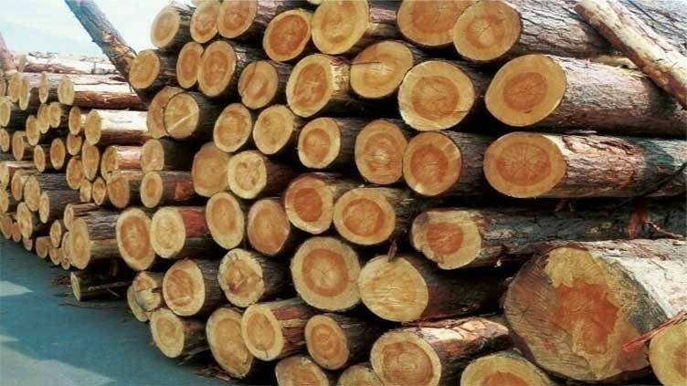 Karachi timber traders strike against delay in clearing goods